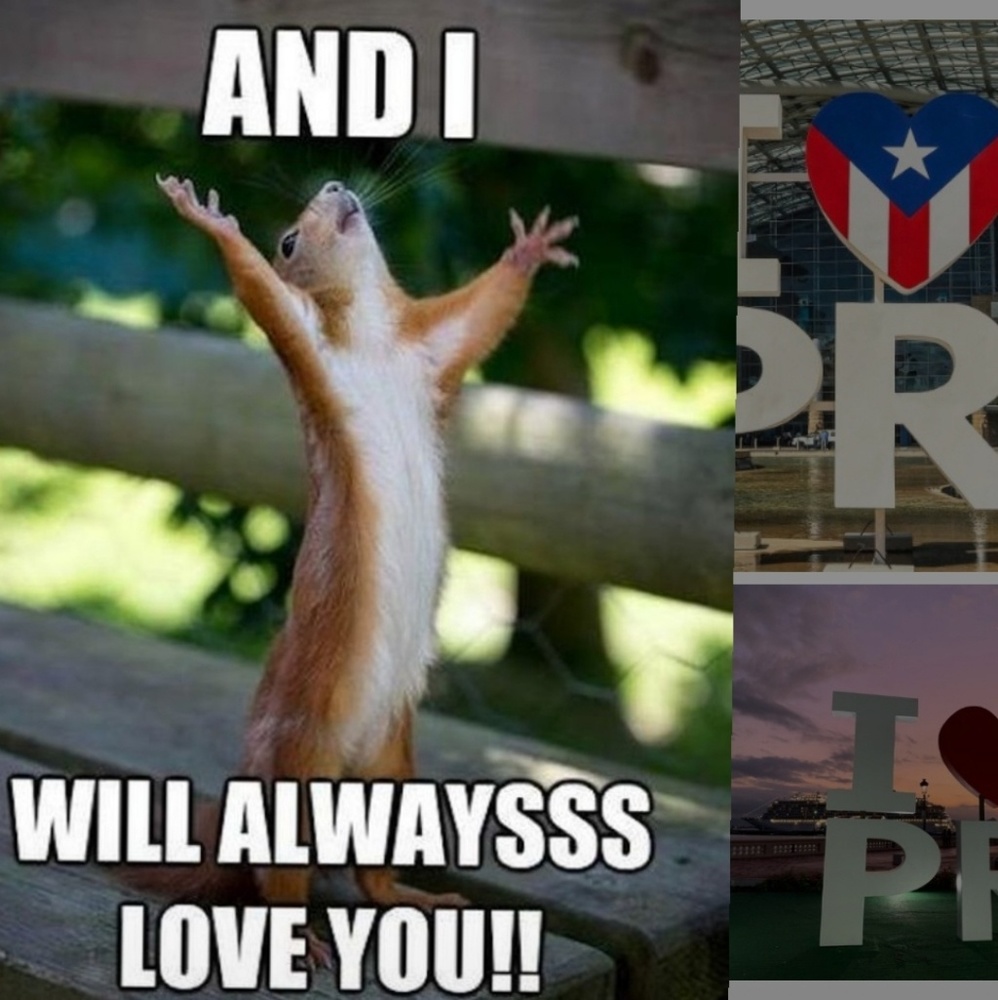 😂 Laugh & Follow 🤣